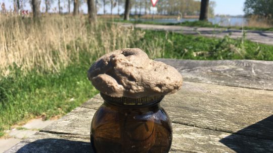 #699 –   Noorddiep-Kattewaard