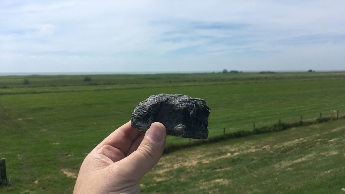 #717 –   Millennium